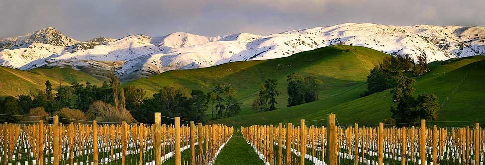 Marlborough Vintners Accommodation Blenheim Eksteriør bilde