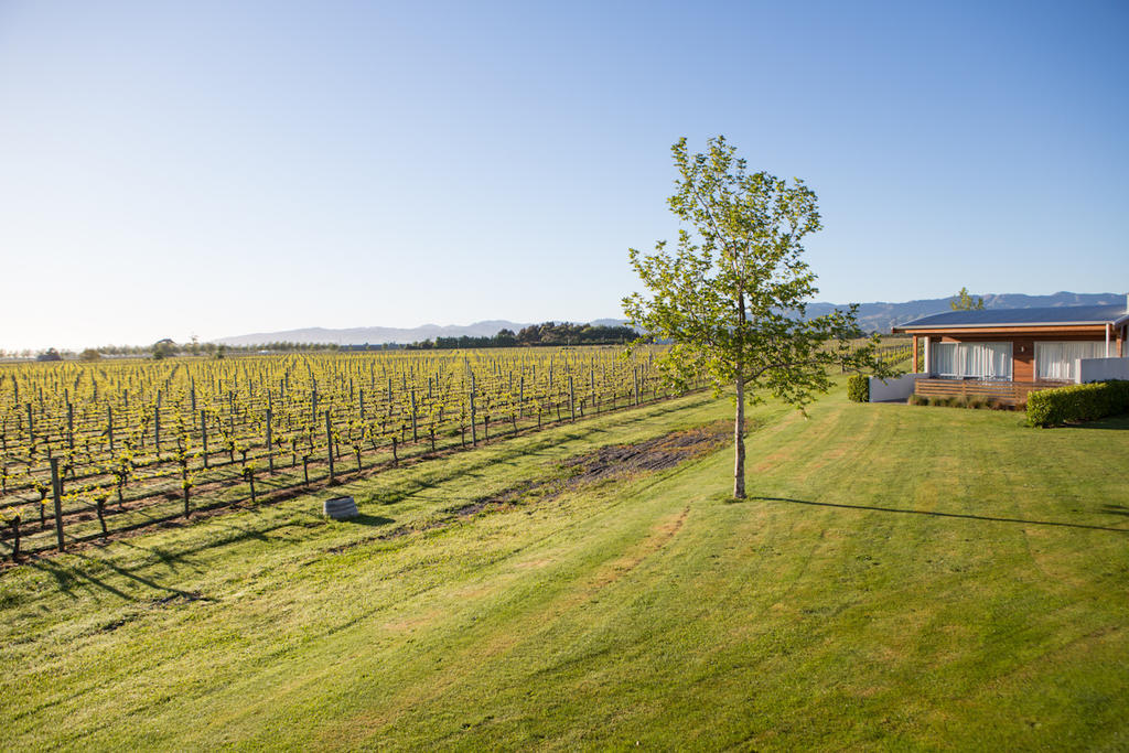 Marlborough Vintners Accommodation Blenheim Eksteriør bilde