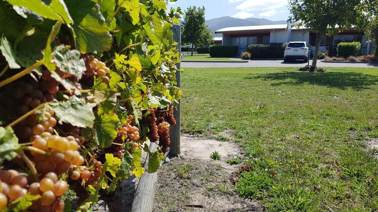 Marlborough Vintners Accommodation Blenheim Eksteriør bilde